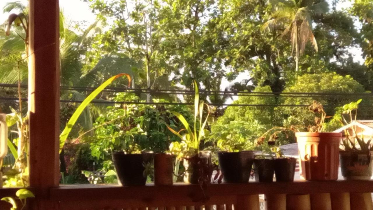 Casa Lumiere Apartment Bocas Town Ngoại thất bức ảnh