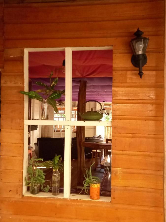 Casa Lumiere Apartment Bocas Town Ngoại thất bức ảnh